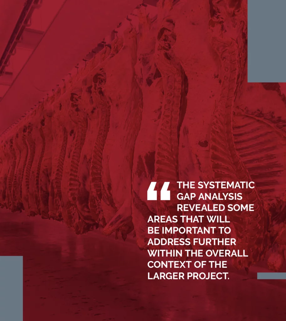 THE SYSTEMATIC GAP ANALYSIS REVEALED SOME AREAS THAT WILL BE IMPORTANT TO ADDRESS FURTHER WITHIN THE OVERALL CONTEXT OF THE LARGER PROJECT.